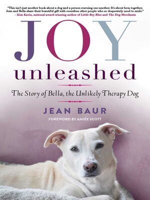 cover image of Joy Unleashed